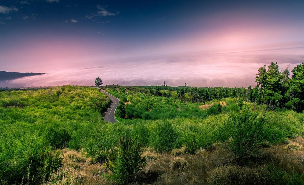 Tenerife Holidays Costa Adeje  Εξωτερικό φωτογραφία